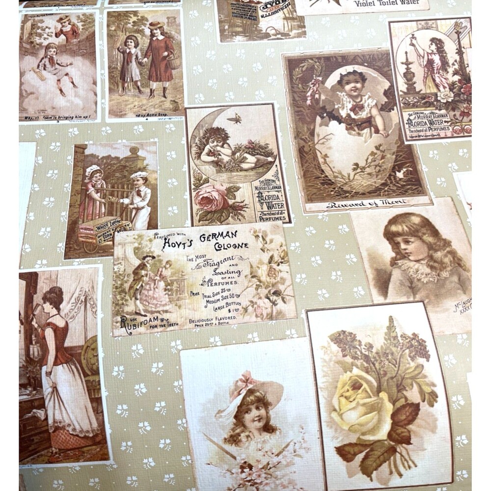 Vintage Victorian Postcard Wallpaper Sunworthy Pre-Pasted Floral Double Roll